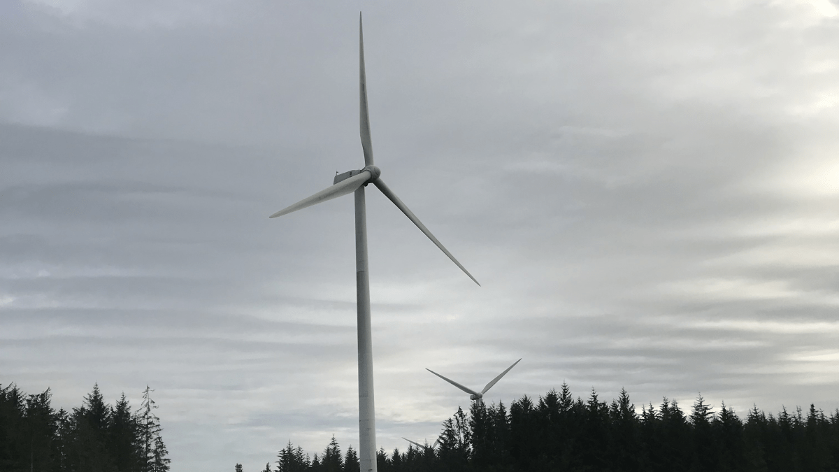 Endiprev started the commissioning of the Whitelee Onshore Wind Farm
